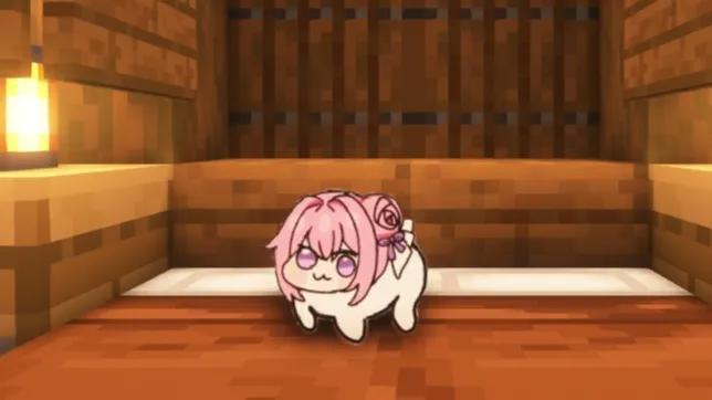 纸片doro2.0